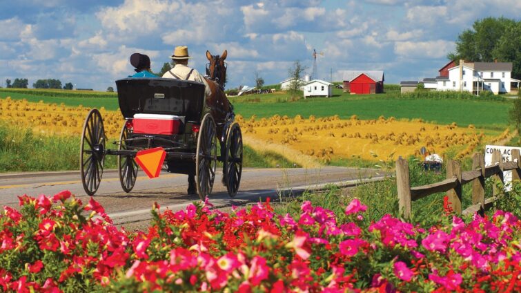 Ohio's Best Small Towns to Visit Amish Country