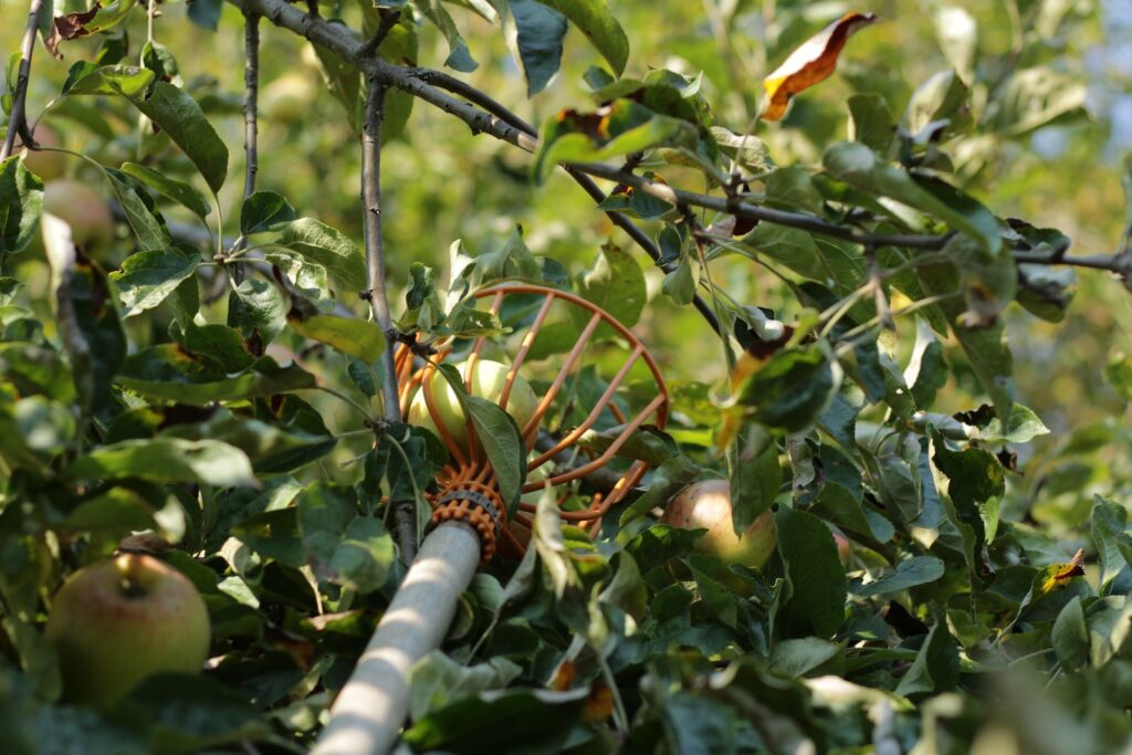 apple orchards in columbus, ohio