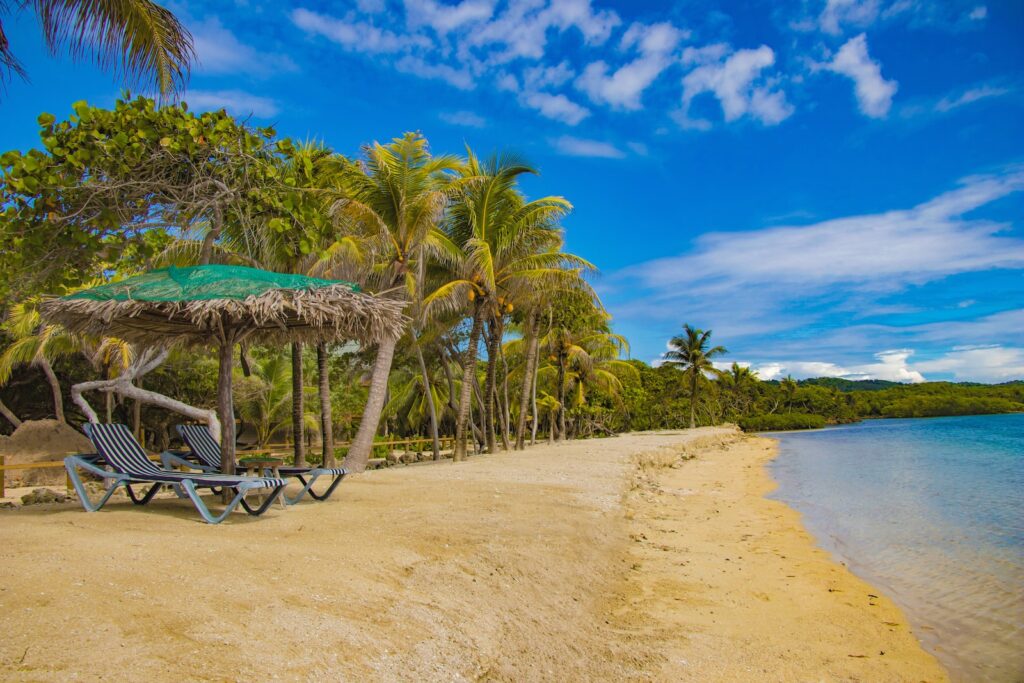 roatan brown wooden beach lounge chair near palm trees under blue sky during daytime