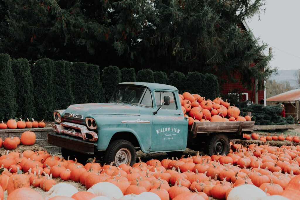 green single cab pickup truck carrying pumpkins, columbus ohio 