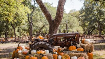 Top 10 Apple Picking Orchards in Columbus, Ohio