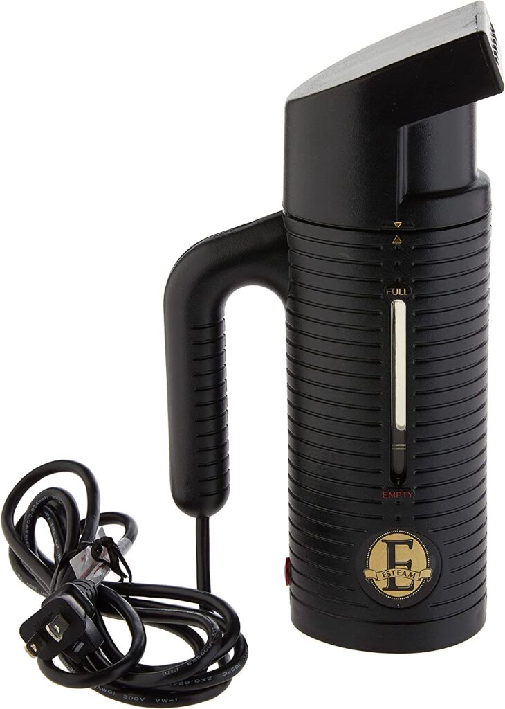 Best Travel Steamer