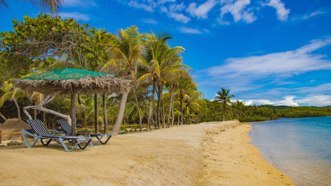 brown wooden beach lounge chair near palm trees under blue sky during daytime