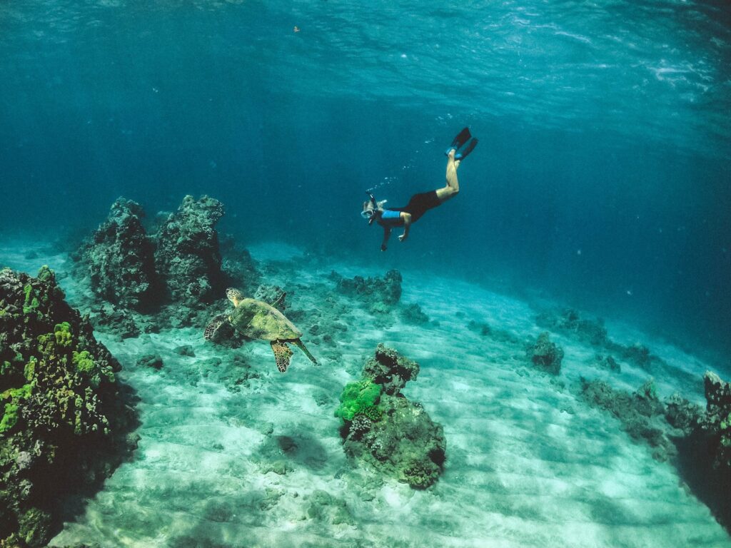 man in blue shorts diving on water in roatan